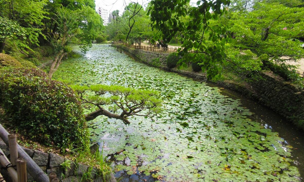 Photo of Outdoor in Matsuyama