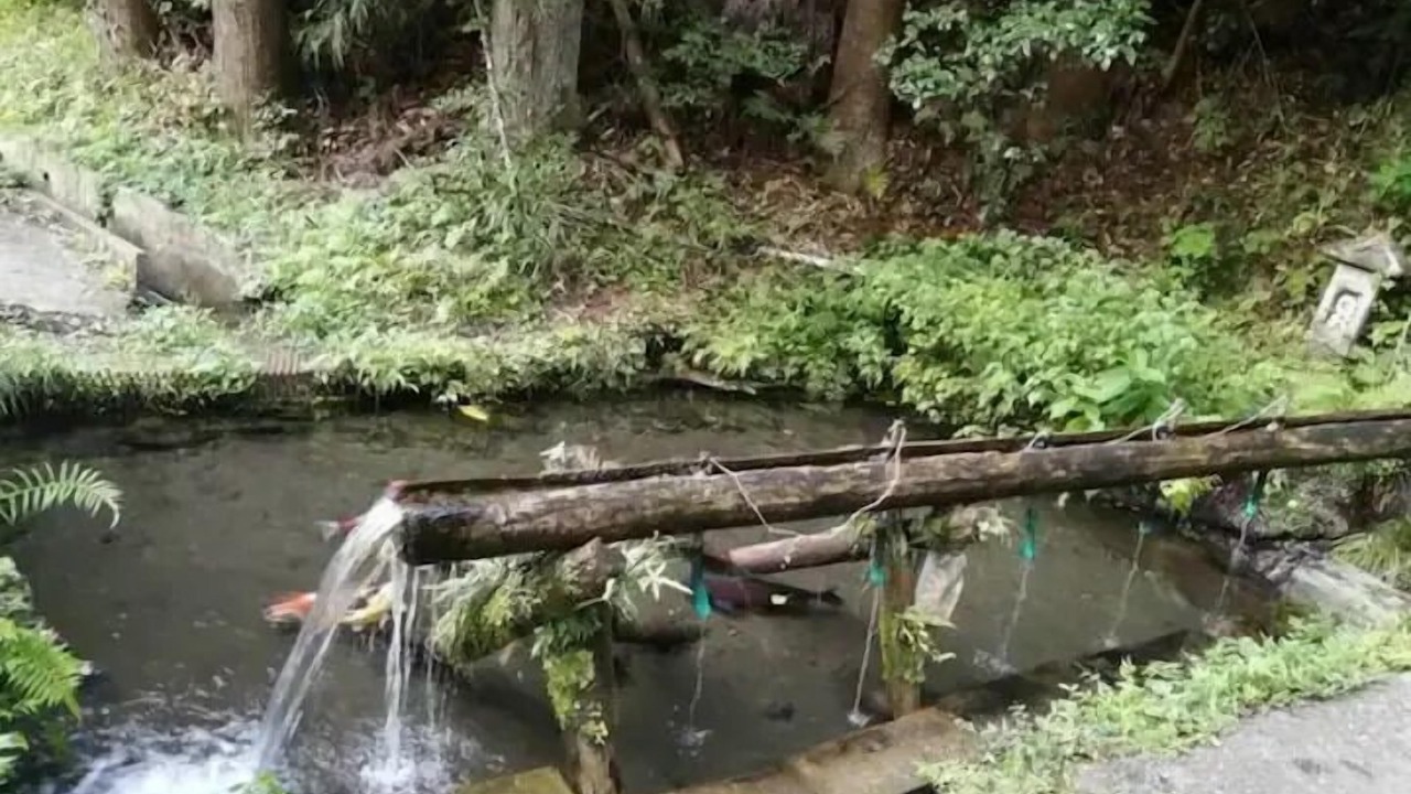 Photo of Outdoor in Futtsu