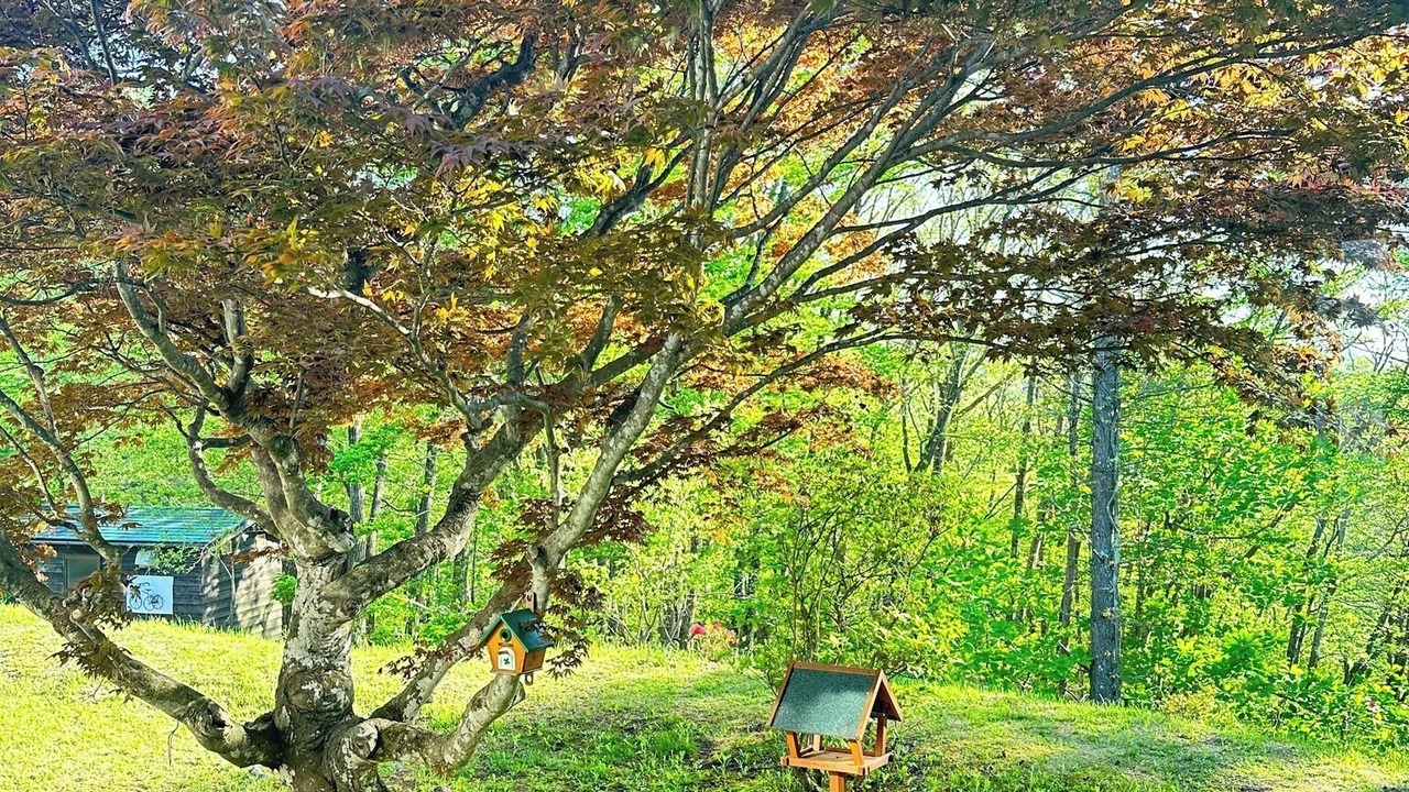 Photo of Outdoor in Miyota