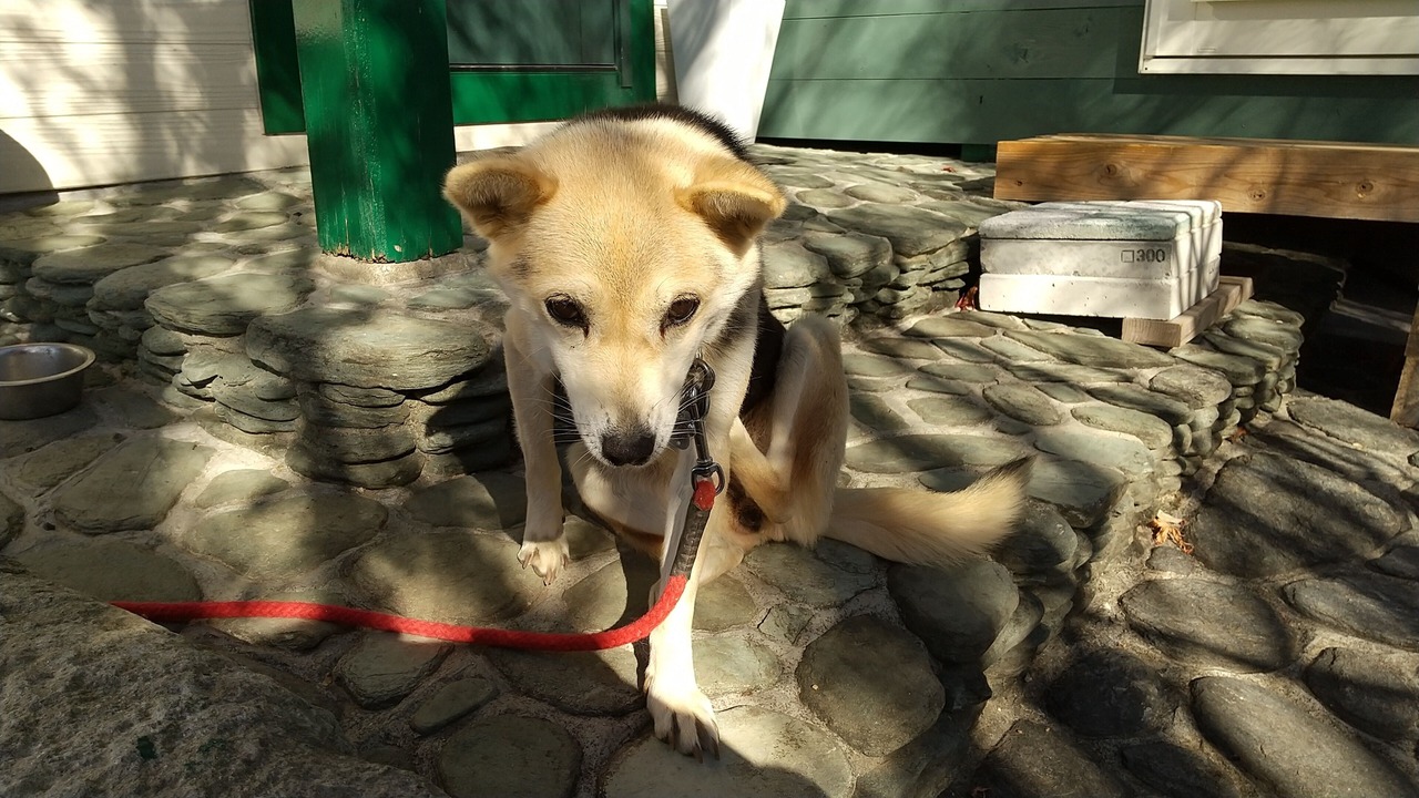 Photo of Outdoor in Omura