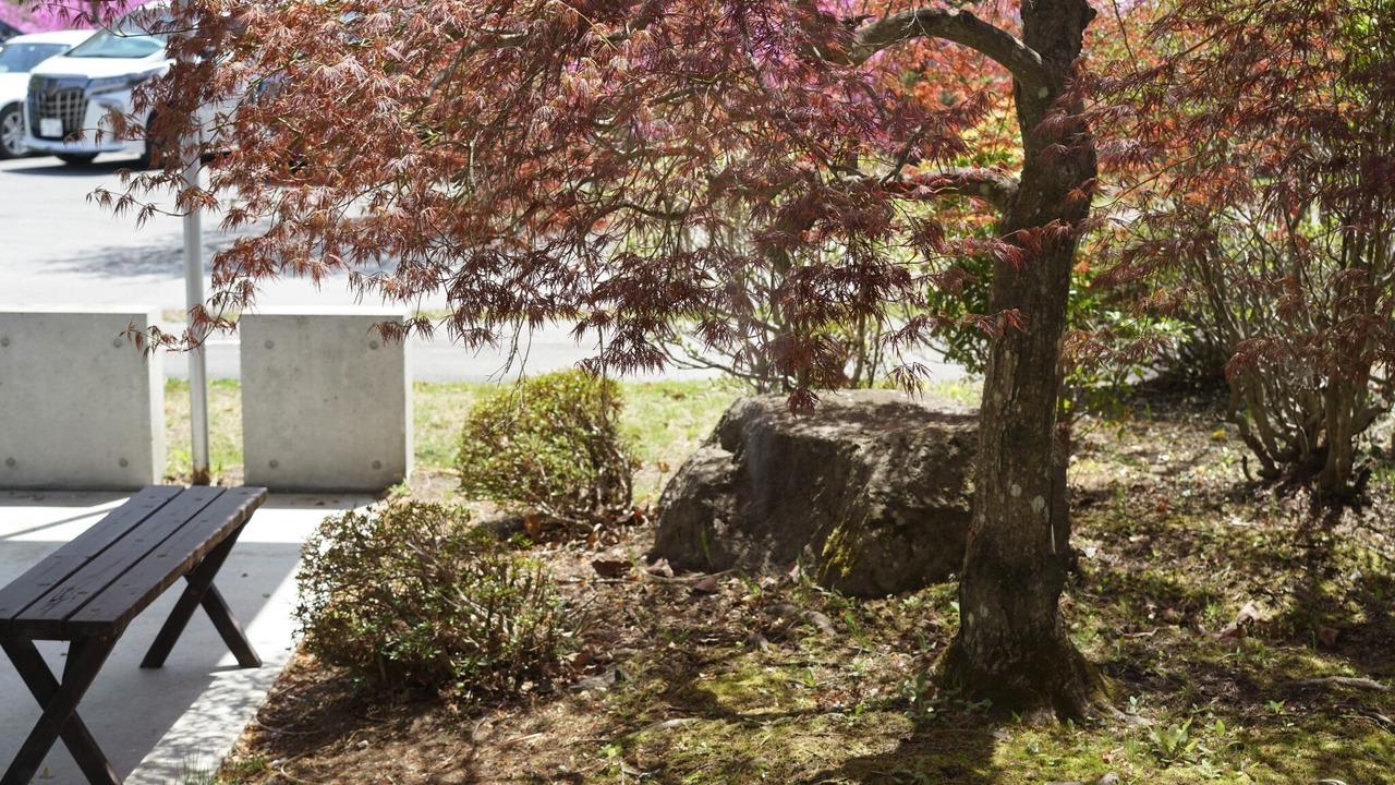 Photo of Outdoor in Miyota