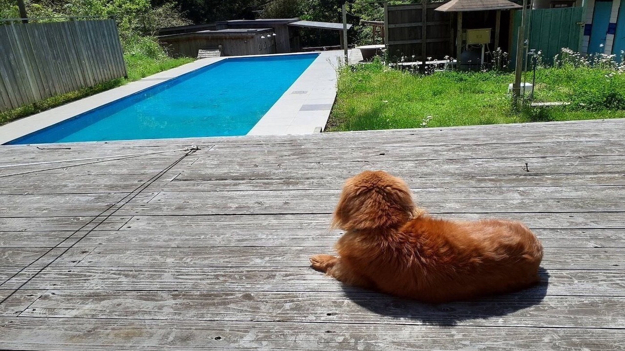 Photo of Outdoor in Otaki