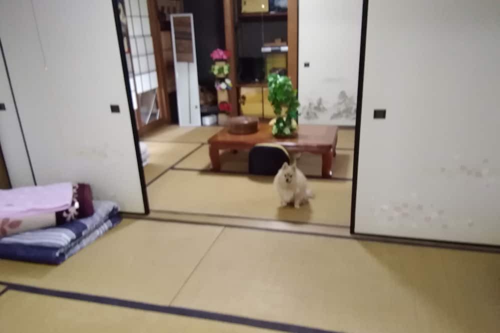 Photo of Others in Koya-cho