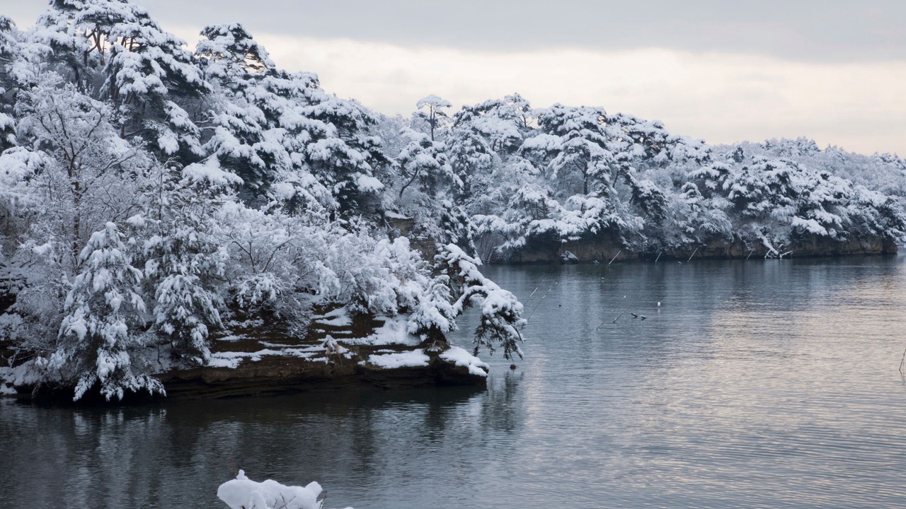 Photo of Others in Matsushima
