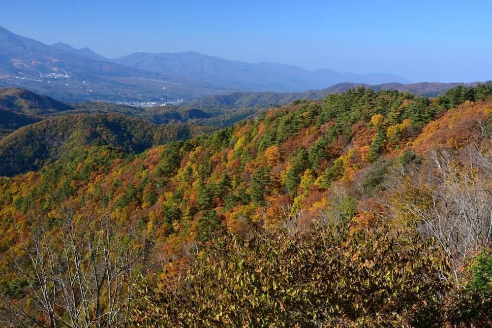 Photo of Outdoor in Shinano