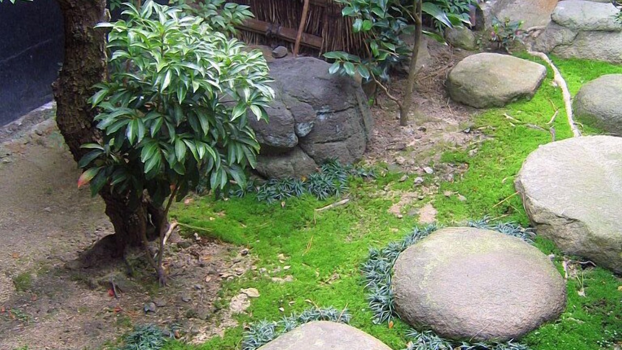 Photo of Outdoor in Sanuki