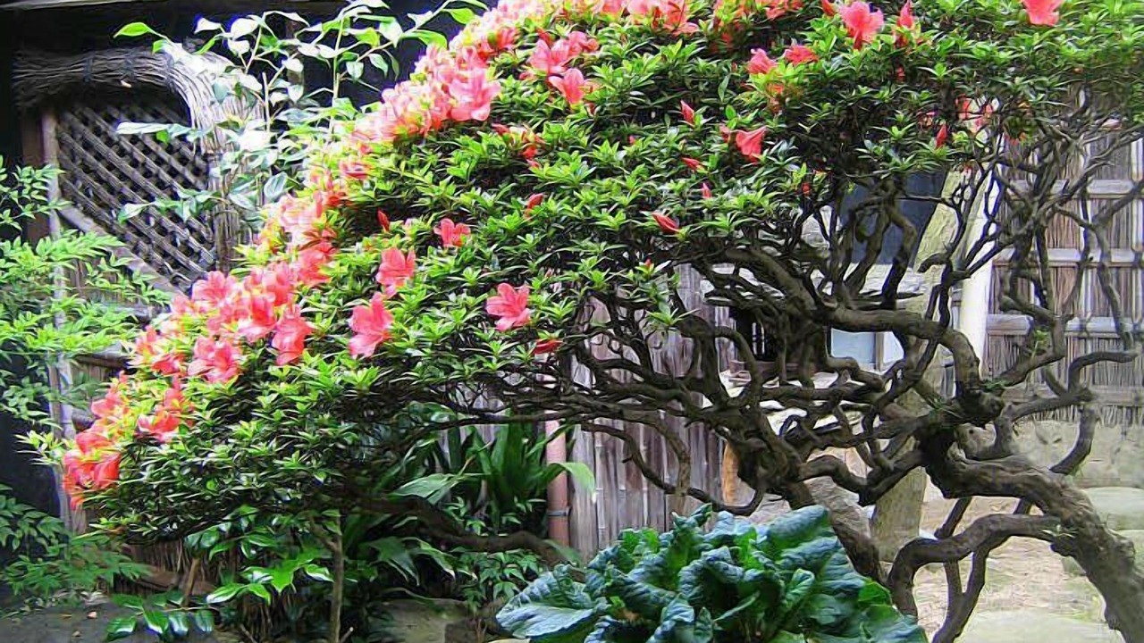 Photo of Outdoor in Sanuki