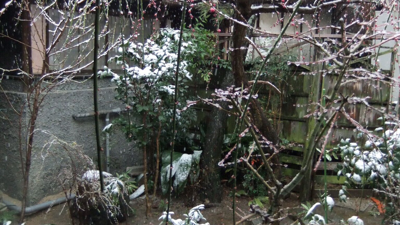 Photo of Outdoor in Sanuki