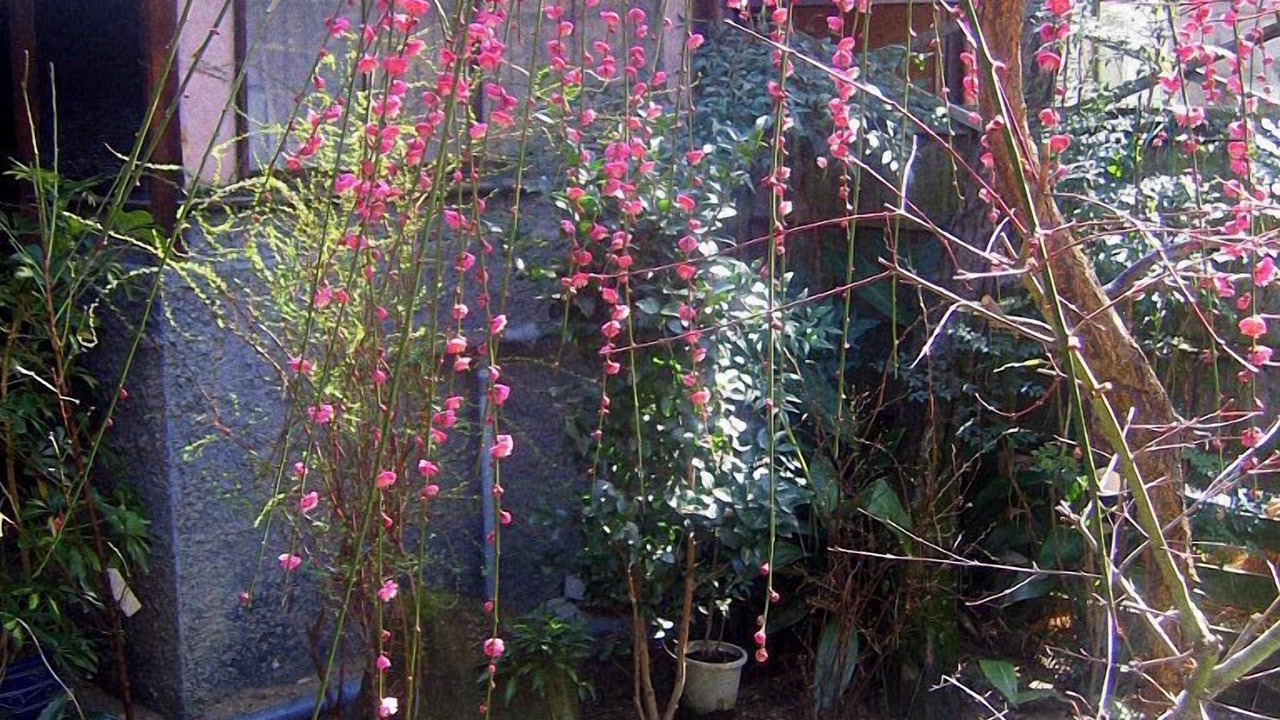Photo of Outdoor in Sanuki