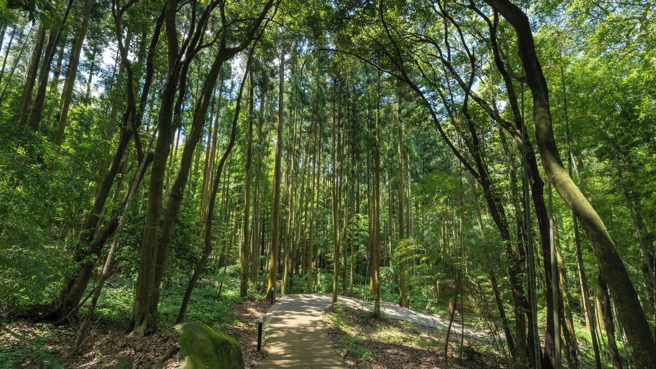 Photo of Outdoor in Higashisonogi