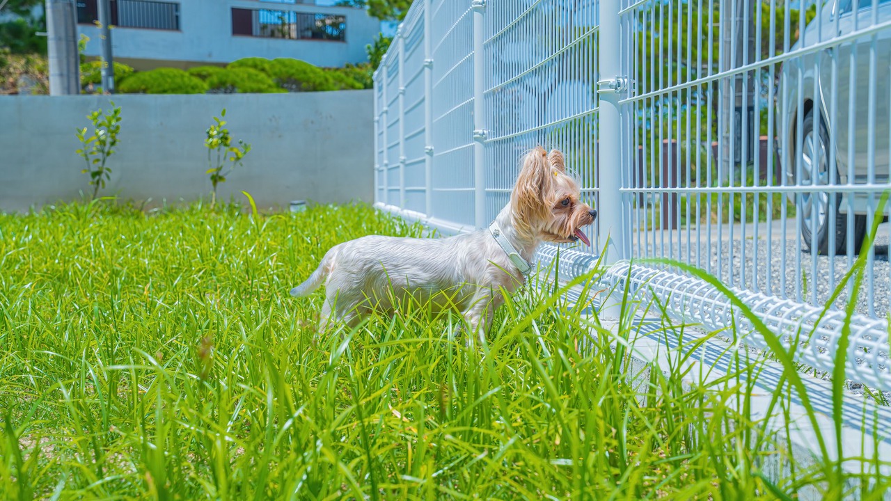 Photo of Outdoor in Miyakojima