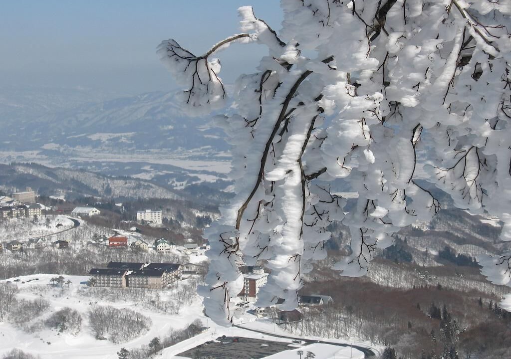 Photo of Others in Madarao Mountain Resort