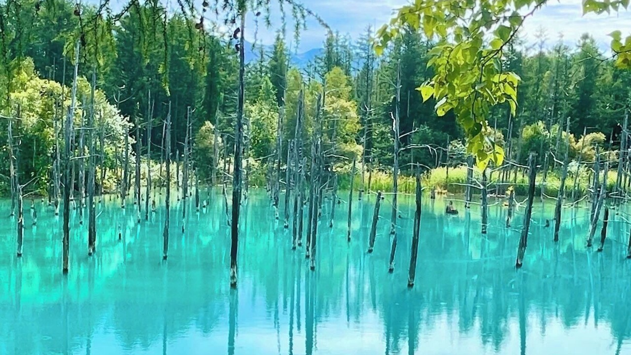 Photo of Outdoor in Higashikawa
