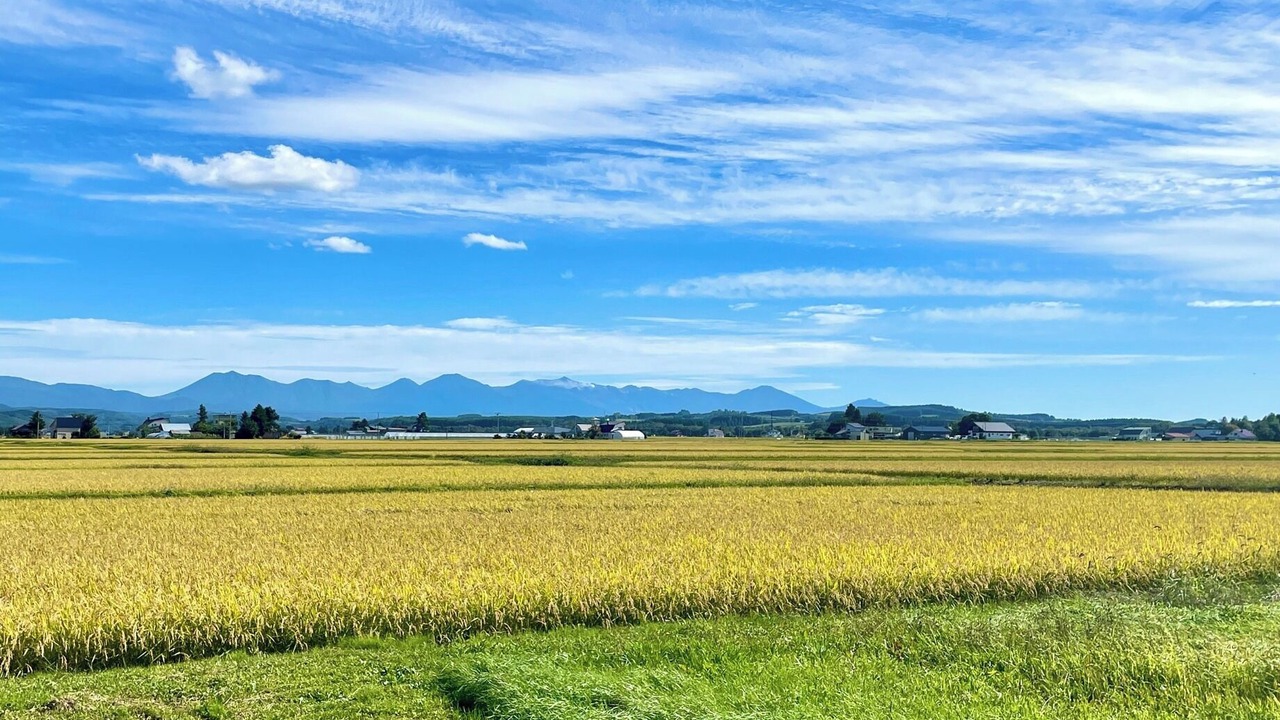 Photo of Others in Higashikawa