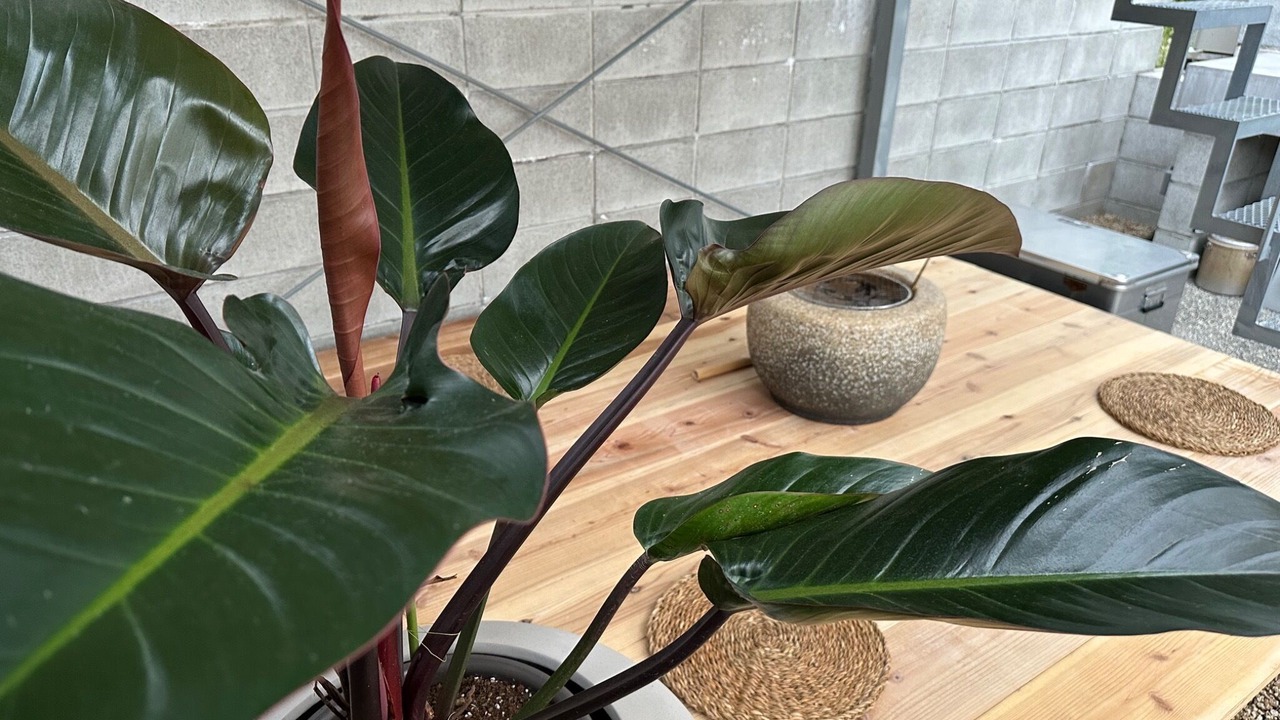 Photo of Outdoor in Kyotango