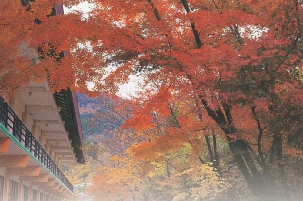 Photo of Others in Togura Kamiyamada Onsen