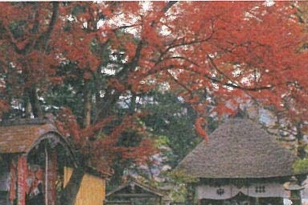 Photo of Others in Togura Kamiyamada Onsen