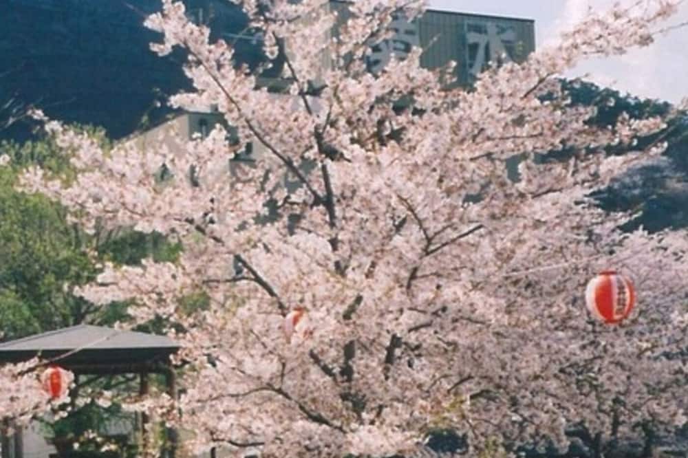 Photo of Others in Togura Kamiyamada Onsen