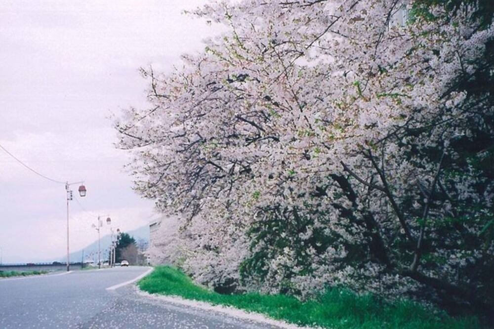 Photo of Others in Togura Kamiyamada Onsen