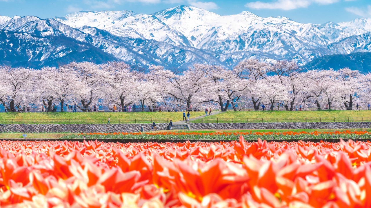 Photo of Others in Toyama