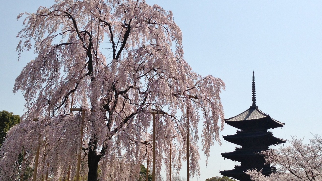 Photo of Others in Shimogyo