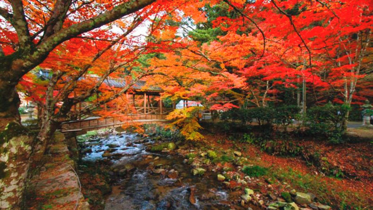 Photo of Others in Mihara