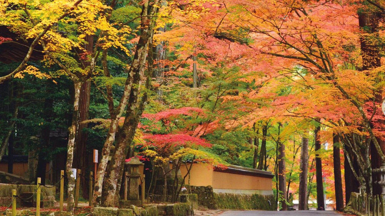 Photo of Others in Mihara
