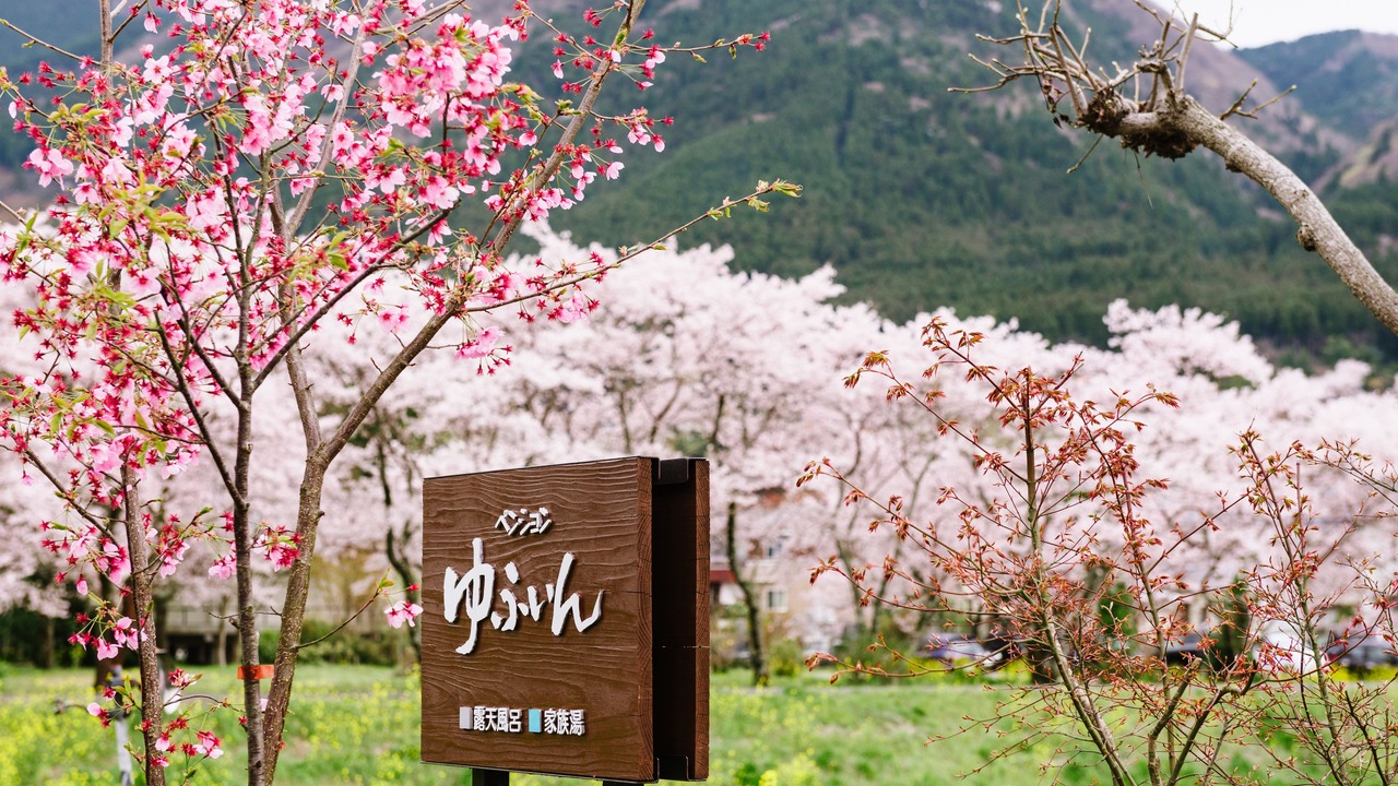 Photo of Outdoor in Yufuin Onsen