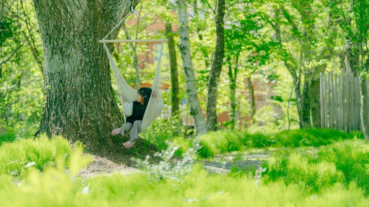 Photo of Outdoor in Gujo