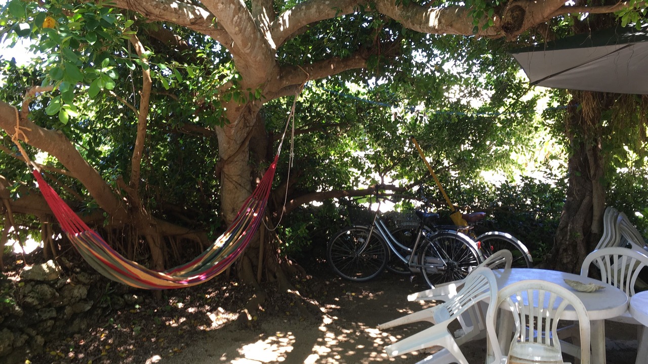 Photo of Outdoor in Taketomi-jima Taketomi-cho