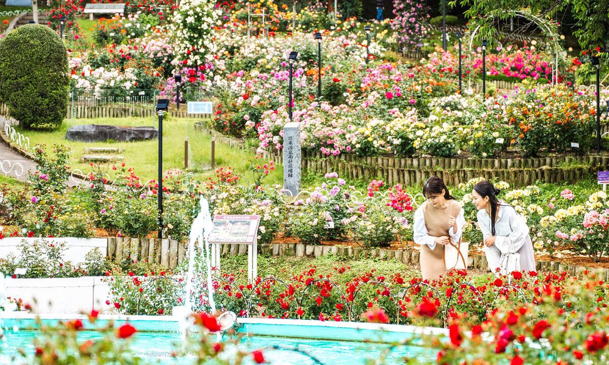 Photo of Outdoor in Dai Onsen