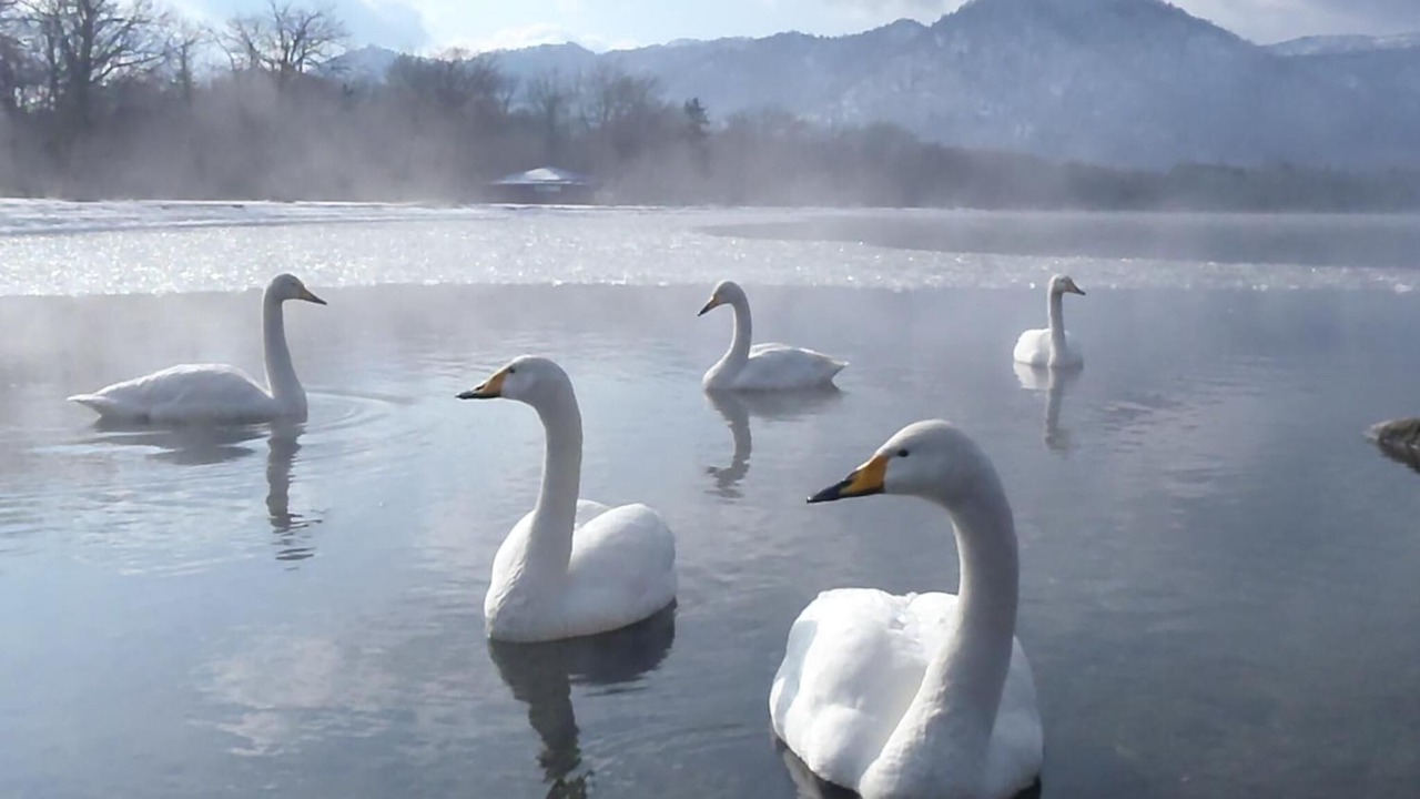 Photo of Outdoor in Teshikaga