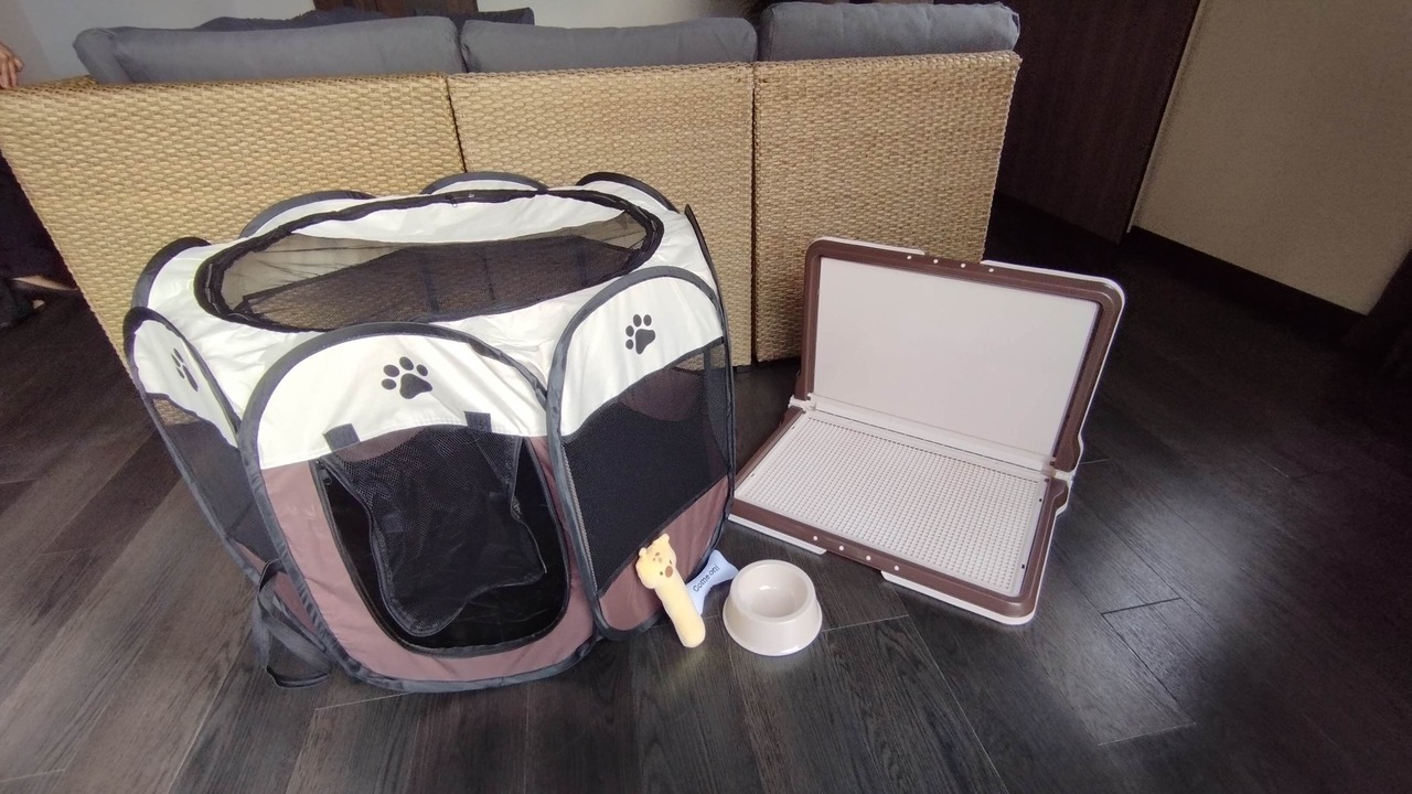 Photo of Others in Sumoto