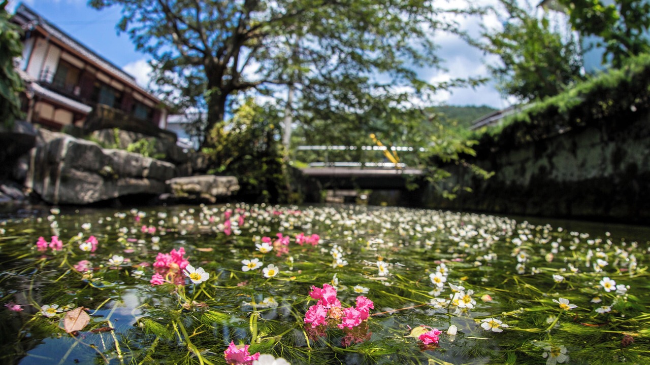 Photo of Outdoor in Nagahama