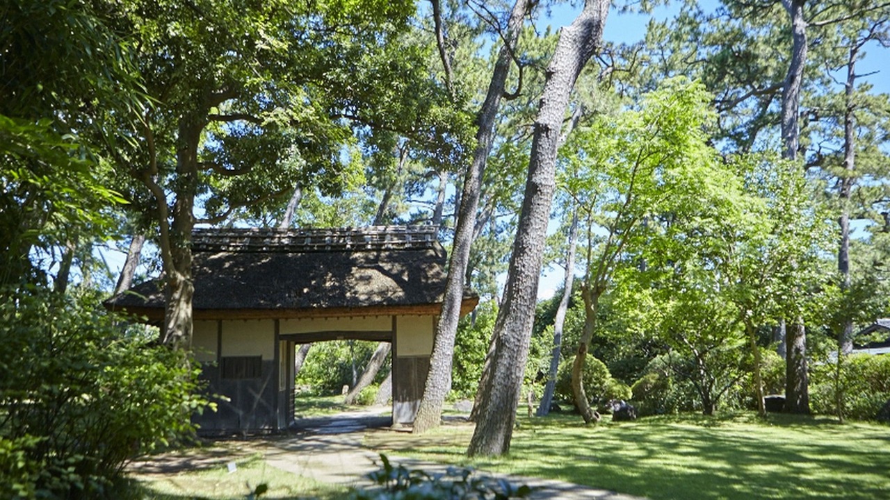Photo of Outdoor in Numazu