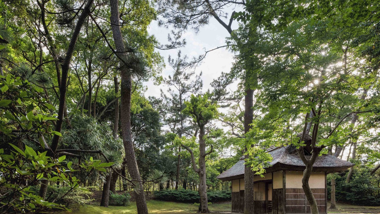 Photo of Outdoor in Numazu