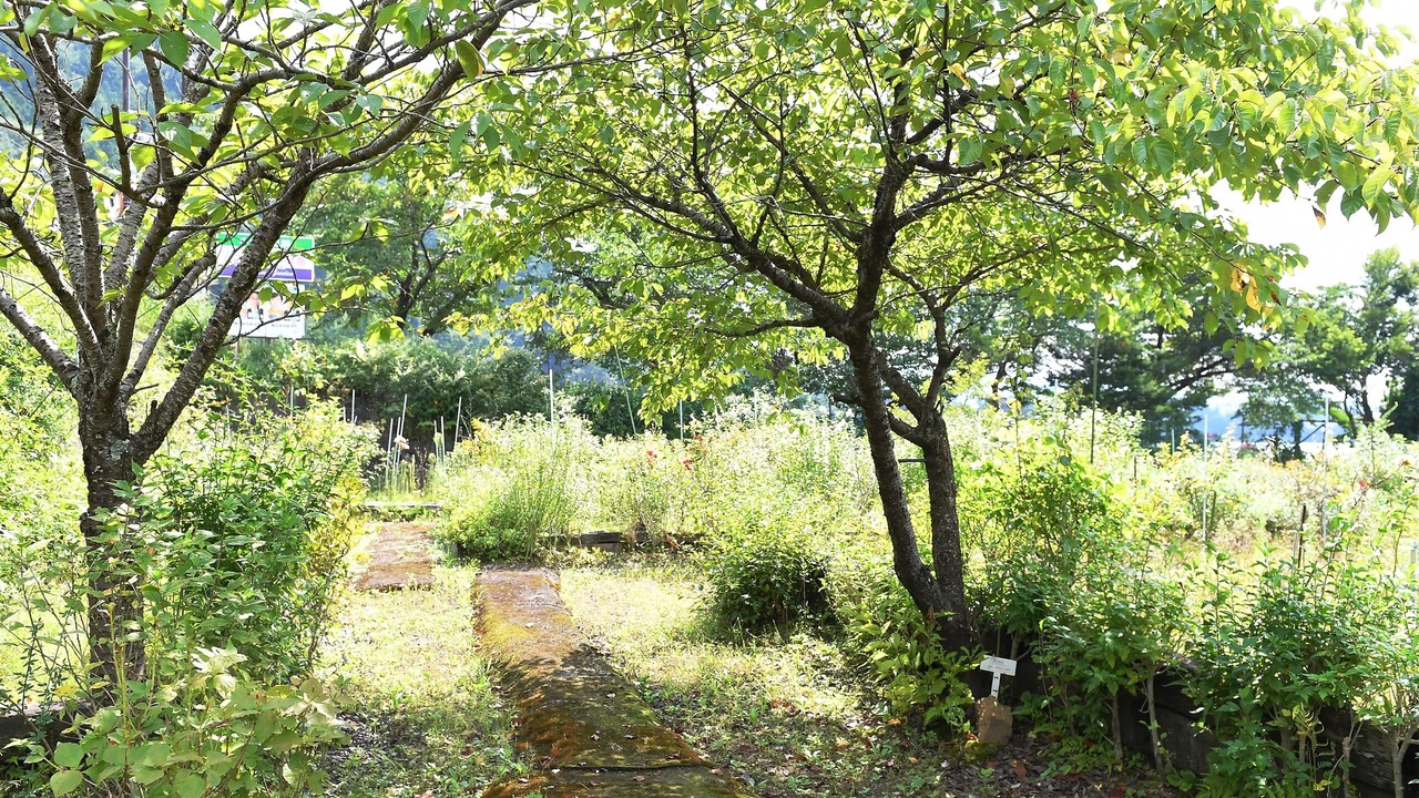 Photo of Outdoor in Azagawa