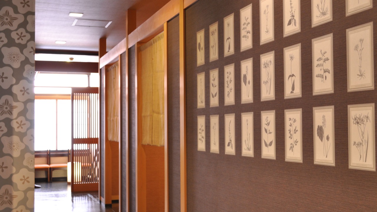 Photo of Others in Misasa-cho