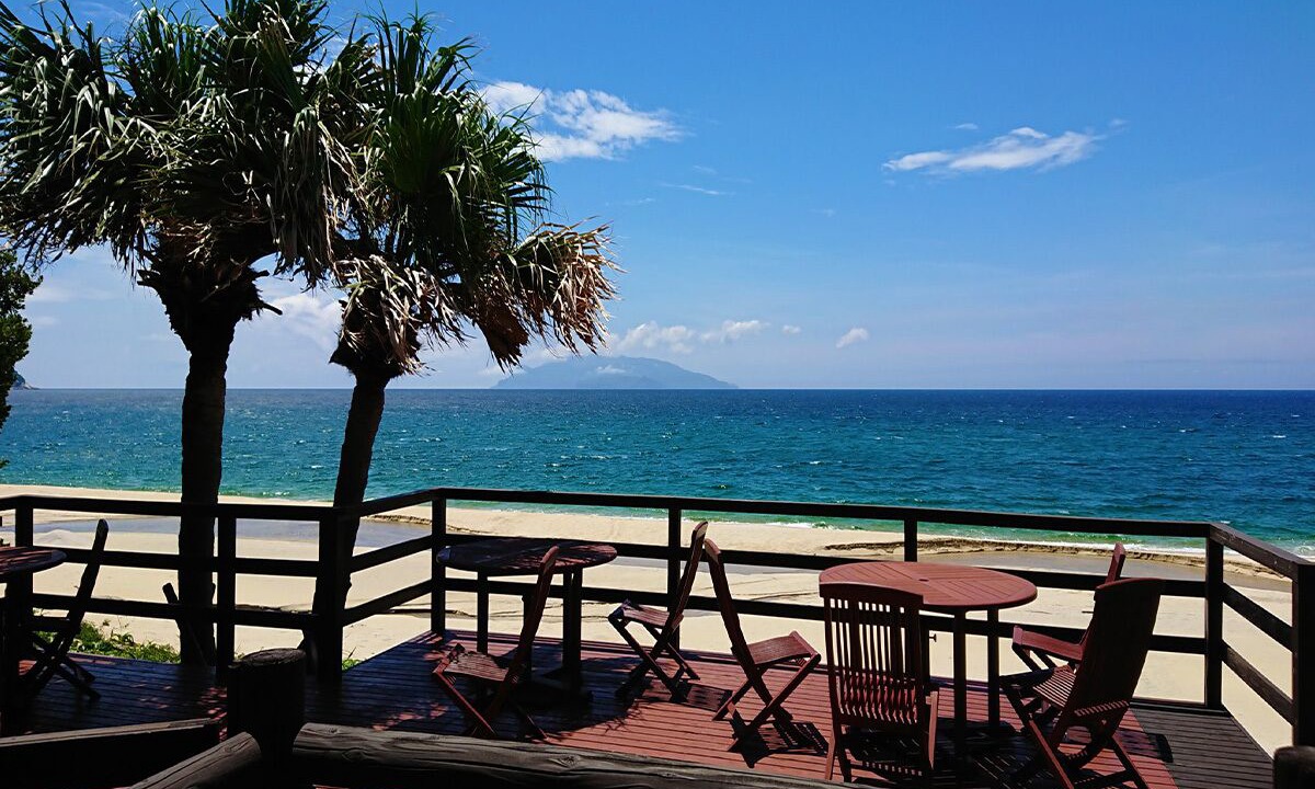 Photo of Others in Yakushima