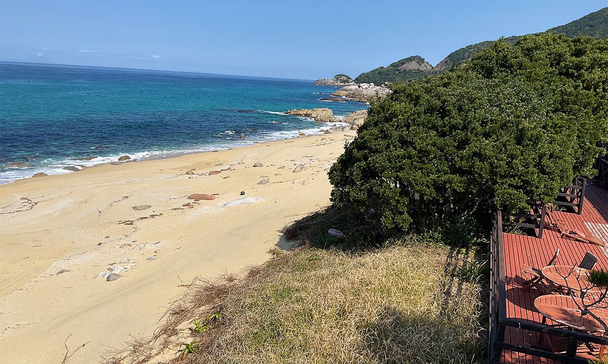 Photo of Others in Yakushima