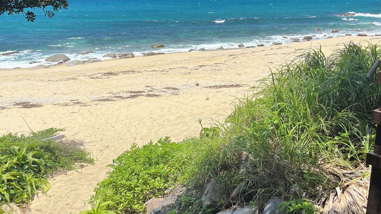 Photo of Outdoor in Yakushima