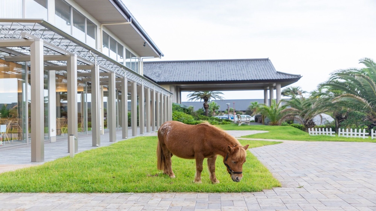 Photo of Outdoor in Kuroto