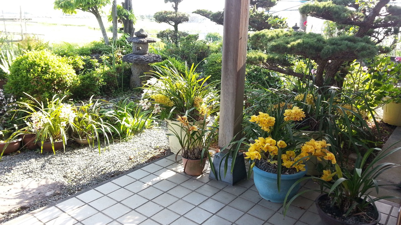 Photo of Outdoor in Oki