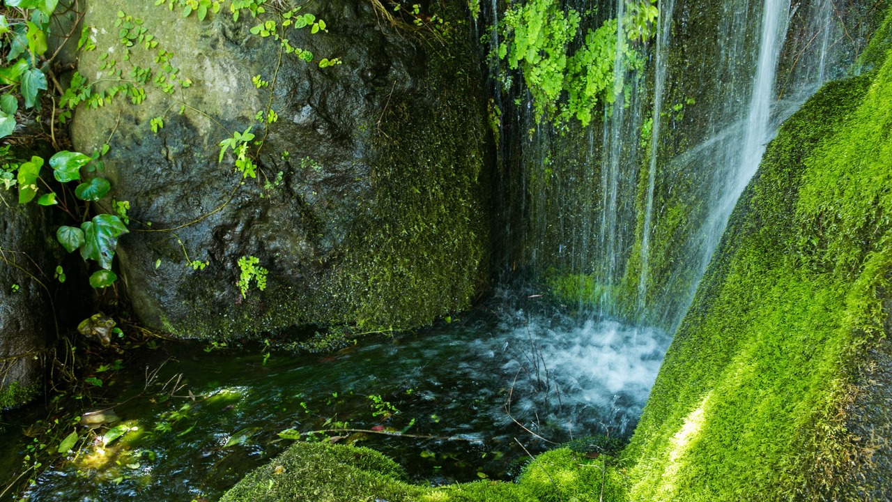Photo of Outdoor in Yugawara