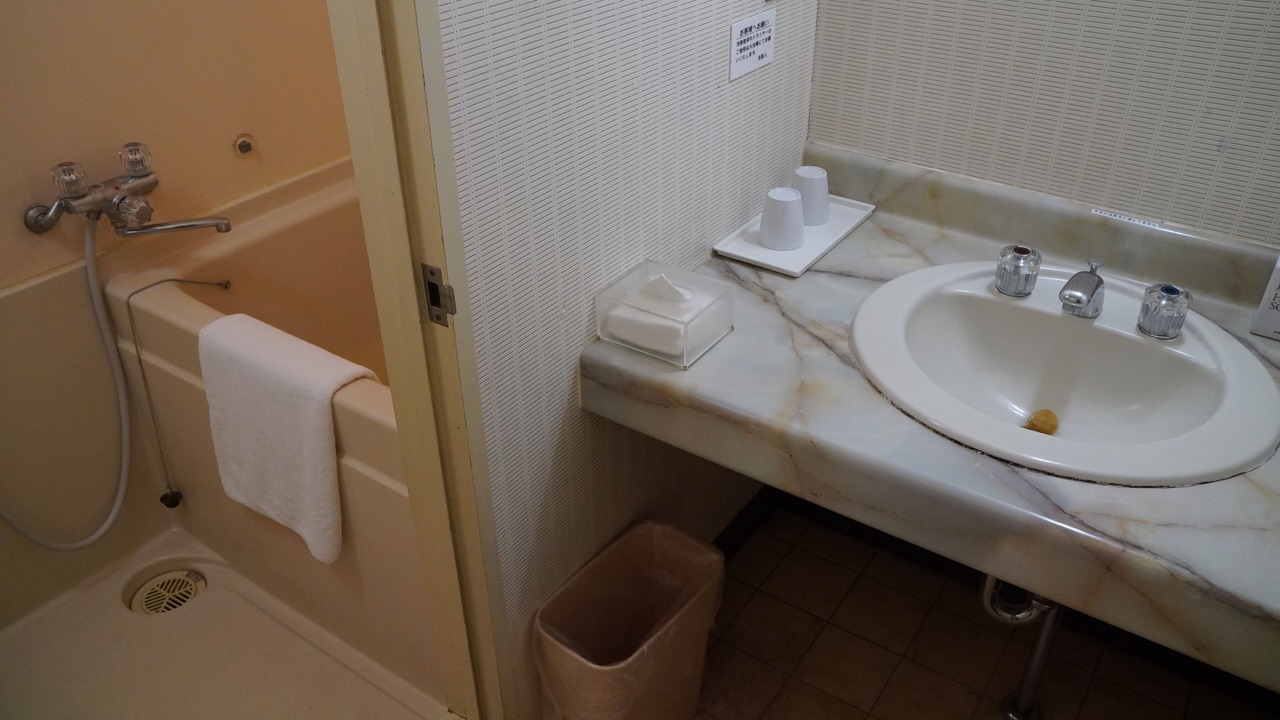 Photo of Bathroom in Akakura