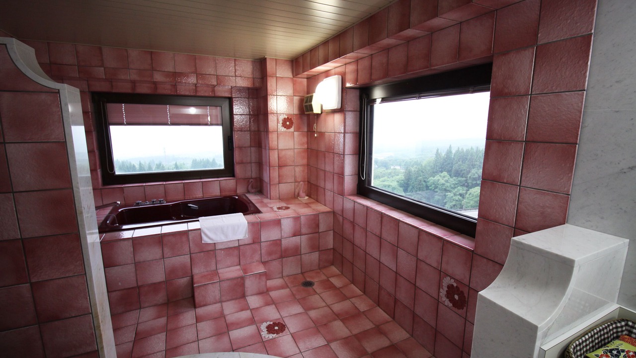 Photo of Bathroom in Akakura
