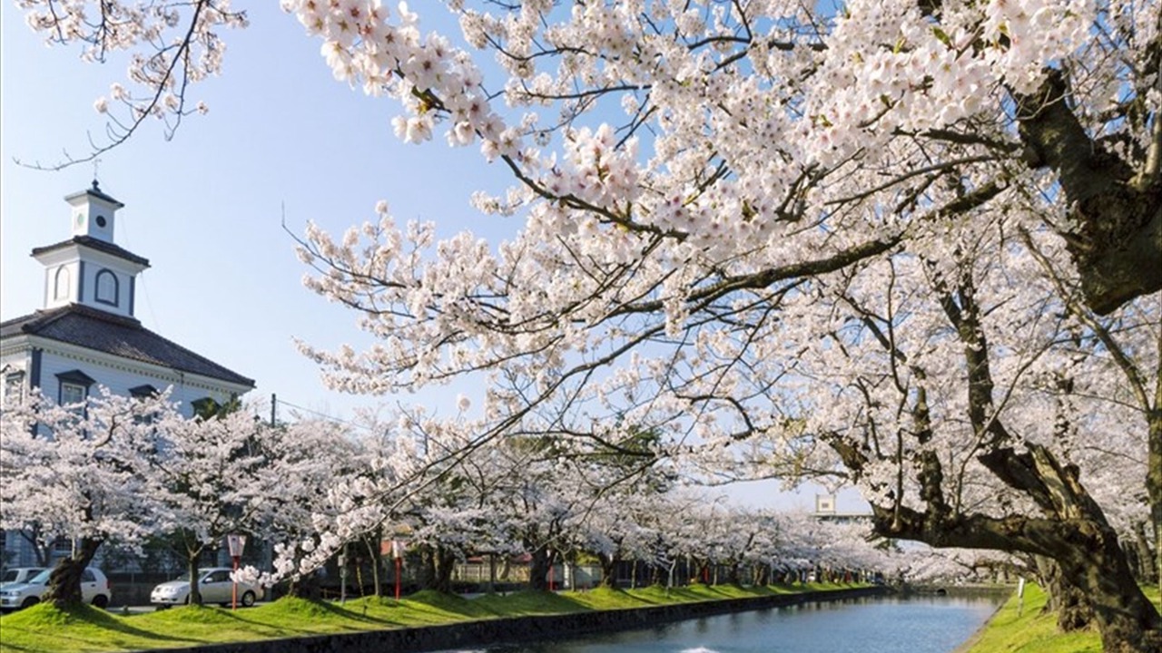 Photo of Outdoor in Tsuruoka