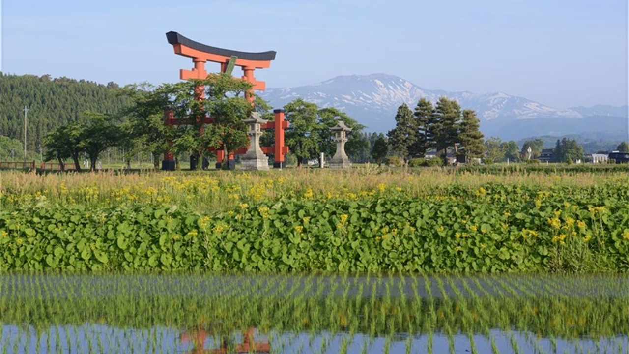 Photo of Outdoor in Tsuruoka