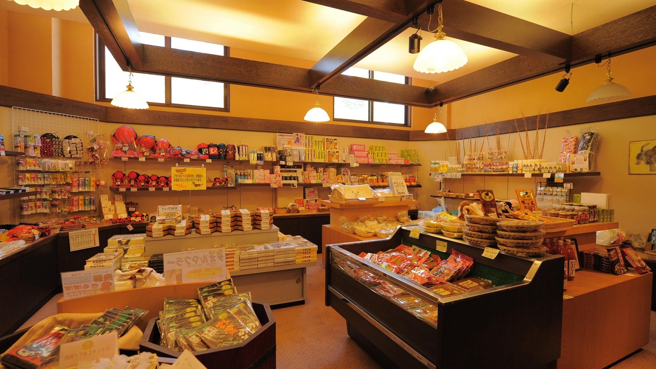 Photo of Others in Takayama