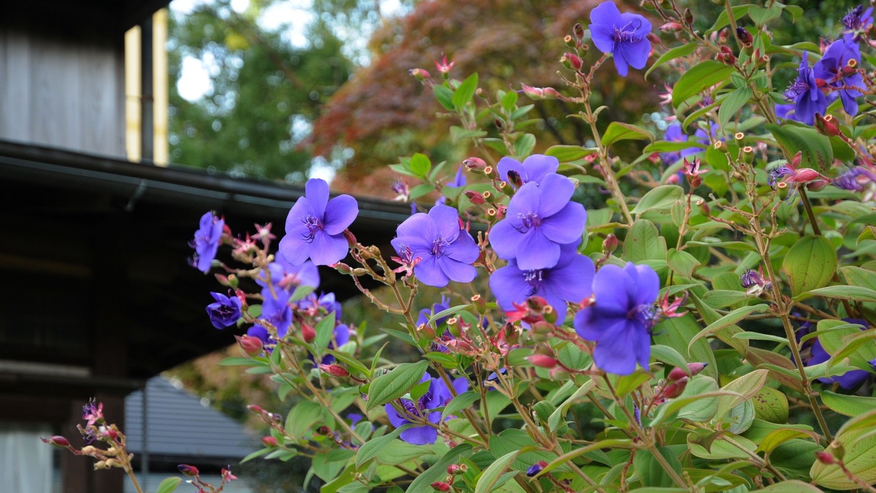 Photo of Outdoor in Atami